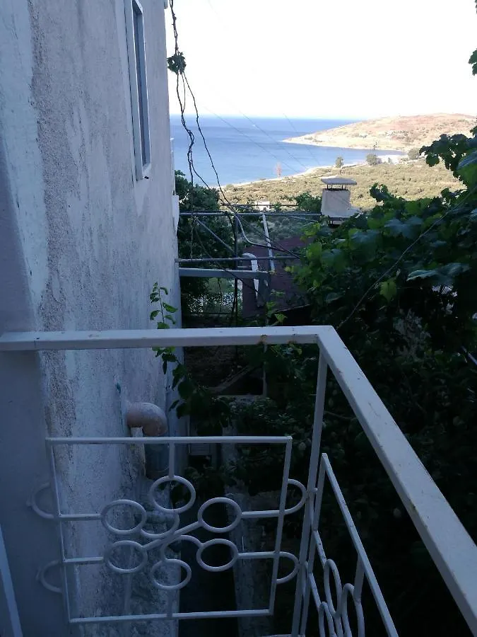Homestay Stone Build Rooms Qeparo